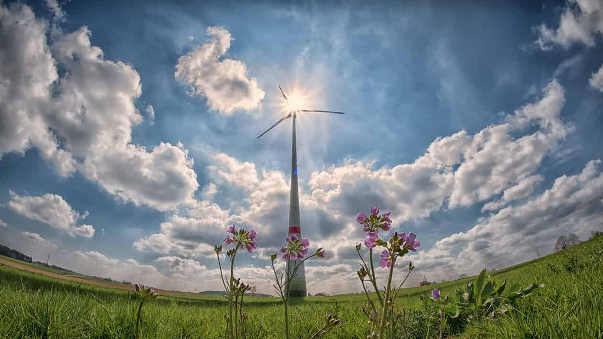 Factores críticos para el éxito de proyectos de energía renovable