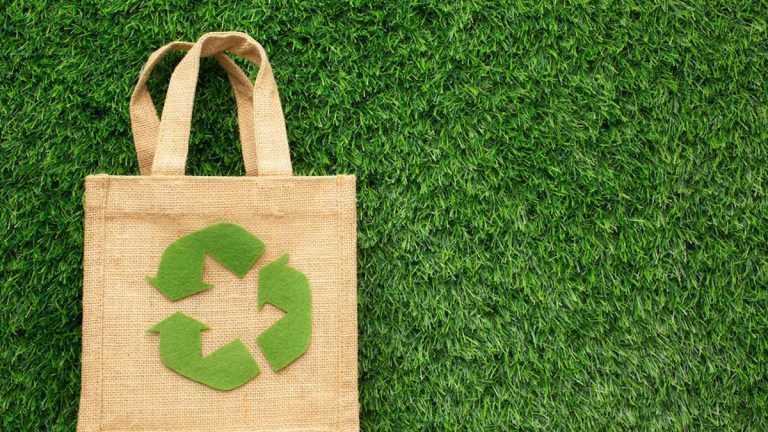 Los consumidores desean diferenciarse adoptando un comportamiento de compra ecológico